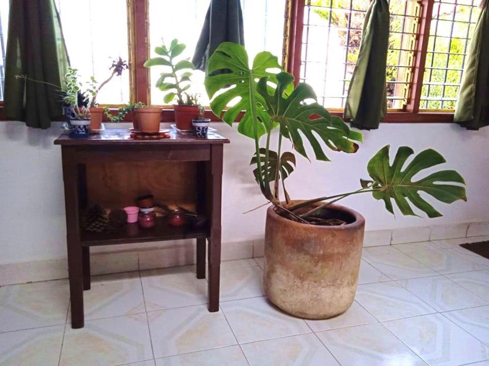 Casa Natura San Cristóbal de Las Casas Extérieur photo